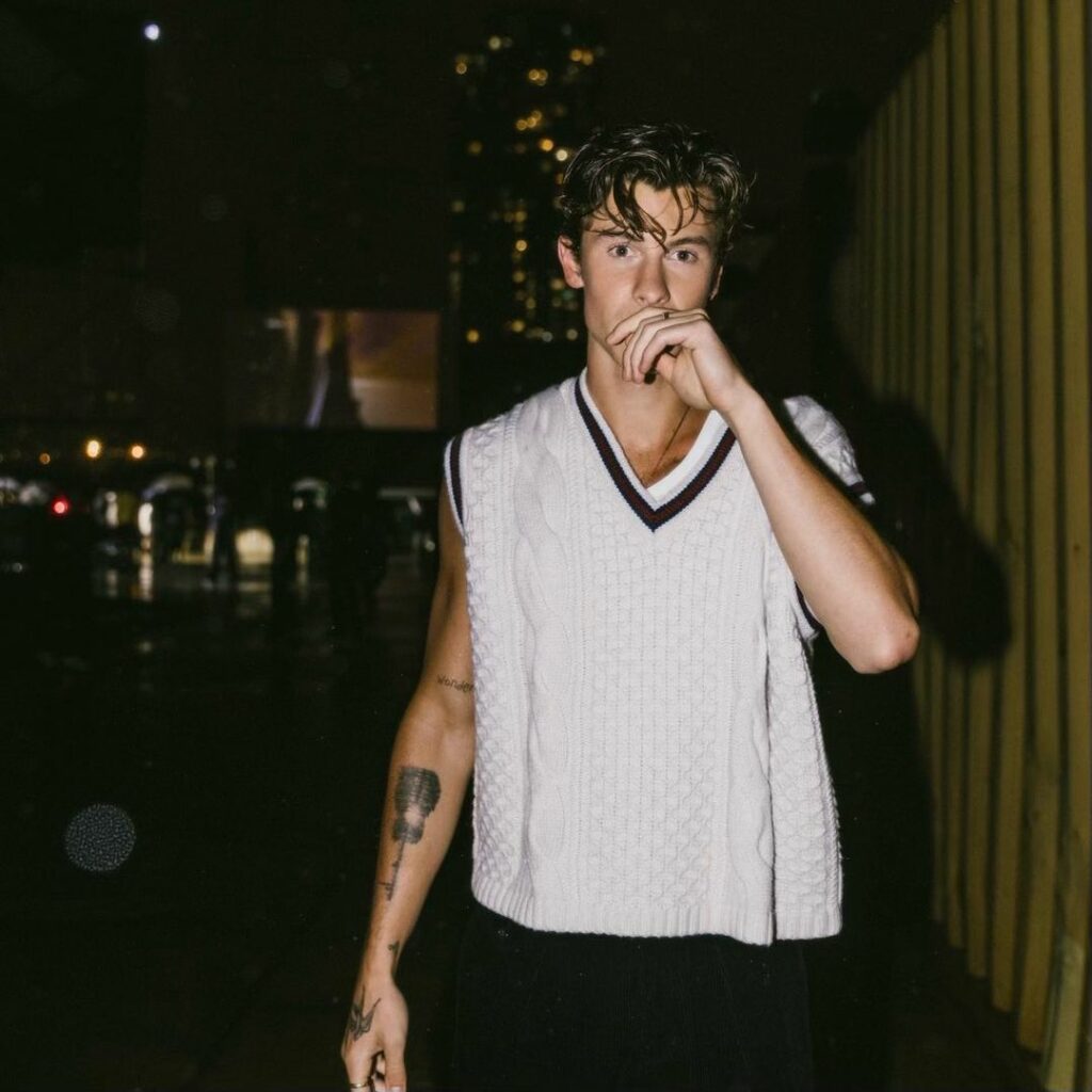 Shawn Mendes wished fans a Merry Christmas with his hot bod in an icy river