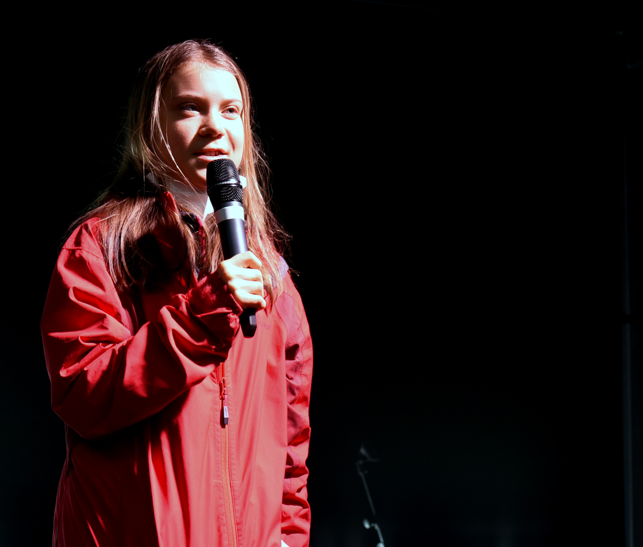 Greta Thunberg at Fridays for future march