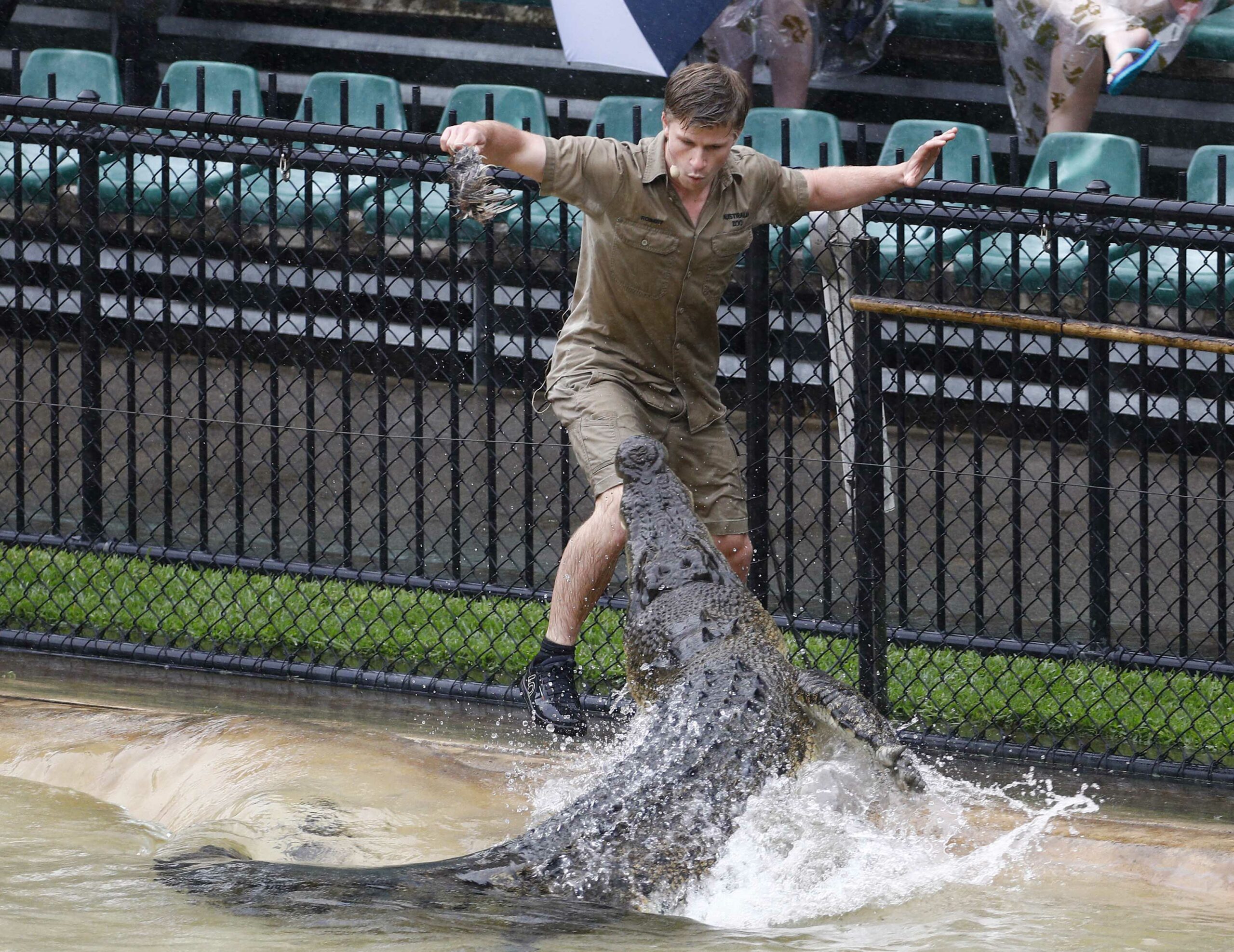 Robert Irwin and a crocodile