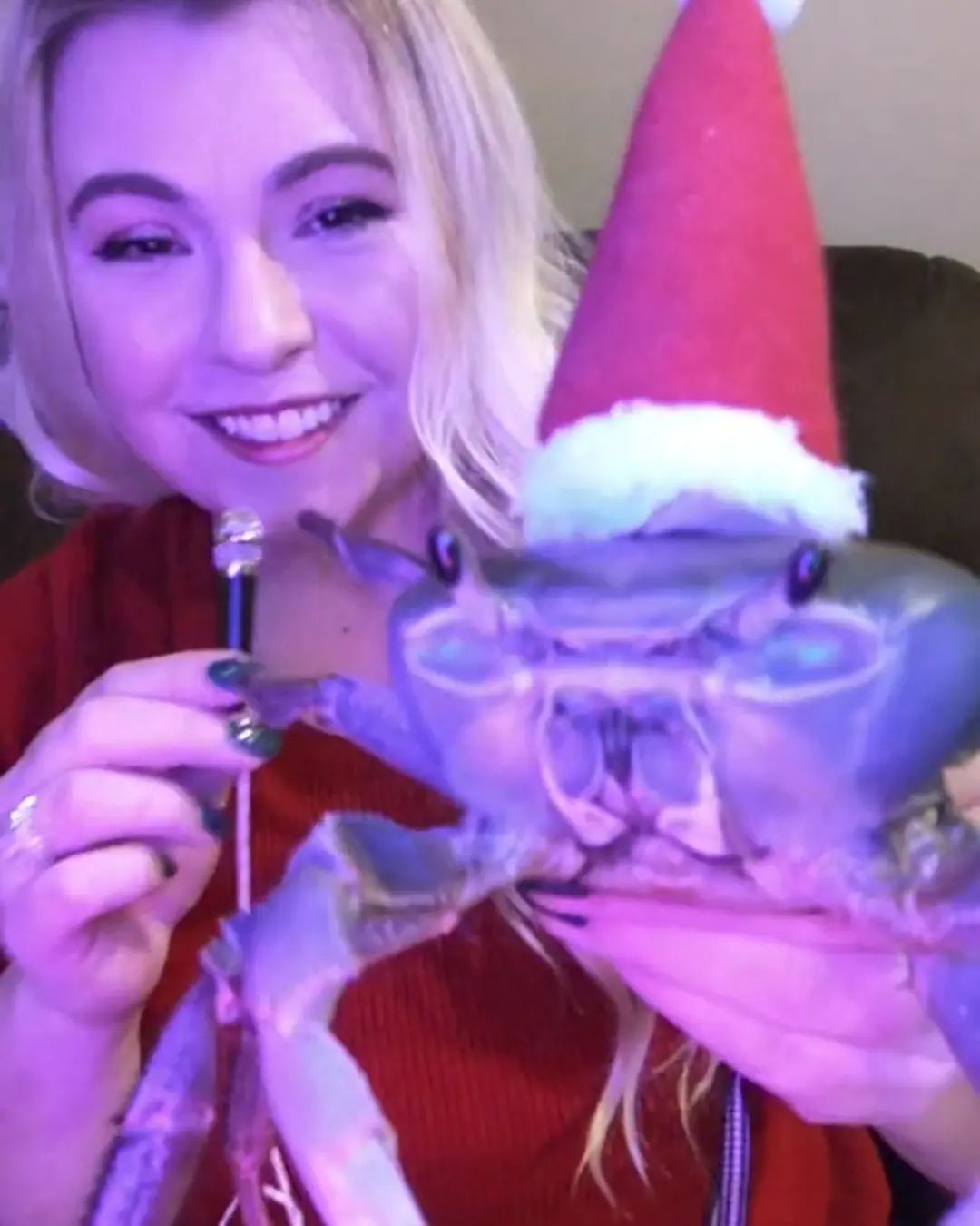 Howie the crab and her mom
