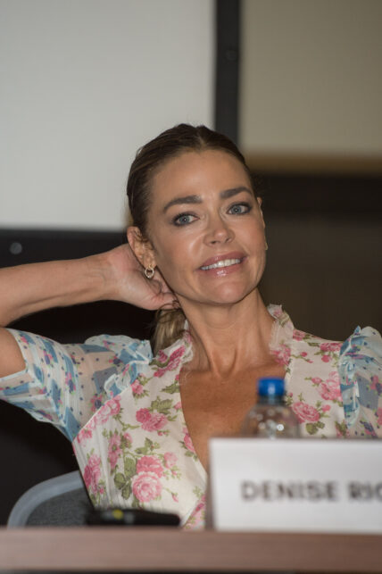 Denise Richards trolled on Instagram over Sante-themed video