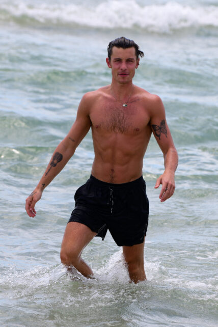 Shawn Mendes wished fans a Merry Christmas with his hot bod in an icy river