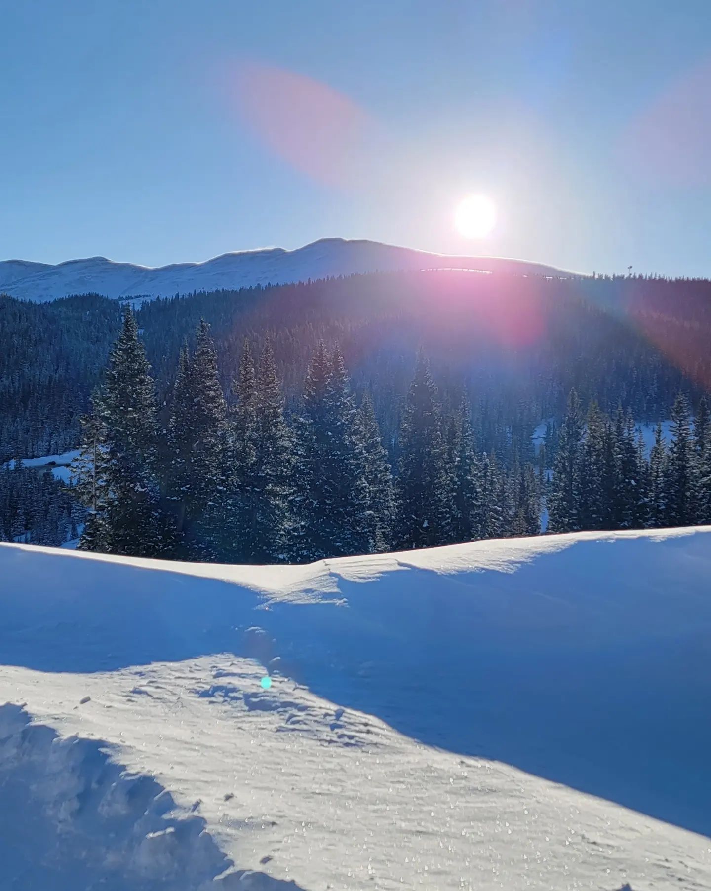Dana Hamm puts on a busty display in her 'Winter Wonderland' at the slopes