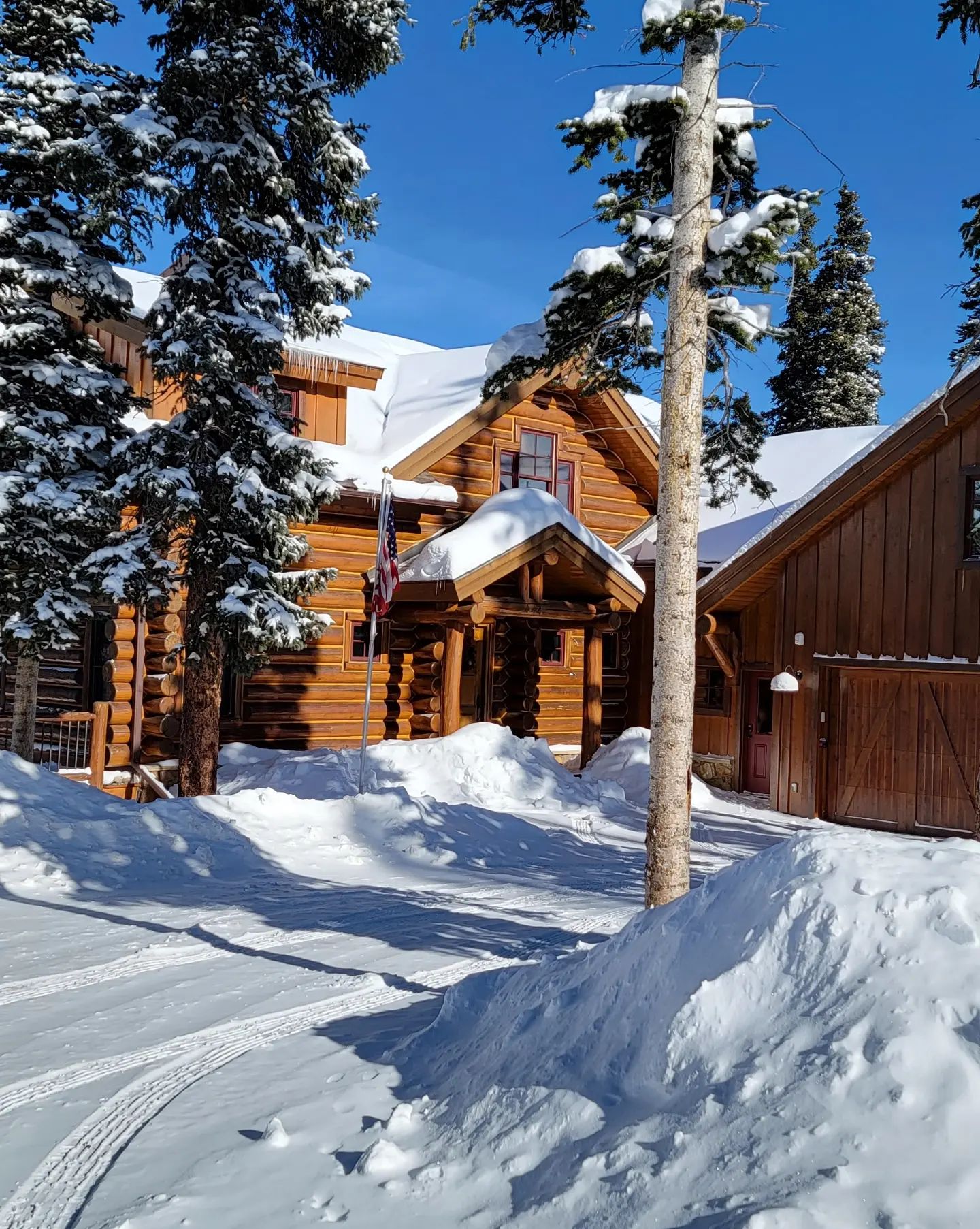 Dana Hamm puts on a busty display in her 'Winter Wonderland' at the slopes