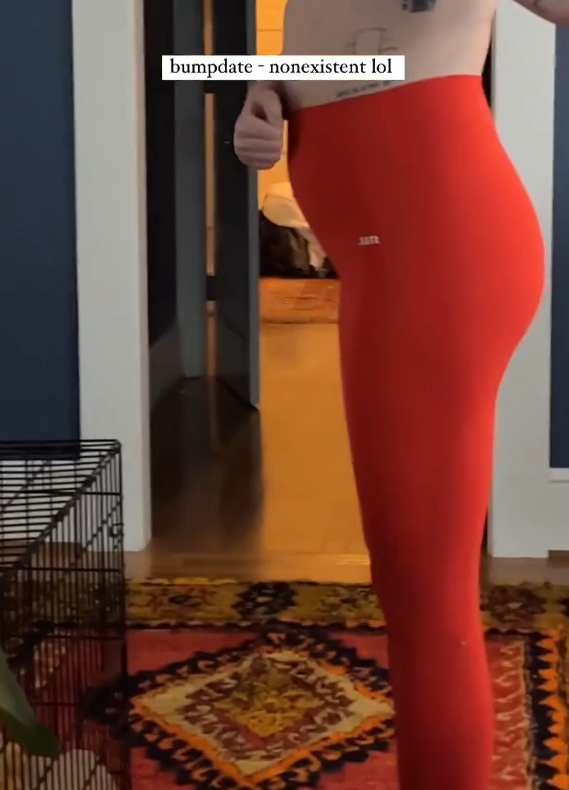 Ireland Baldwin gives fans a "bumpdate"