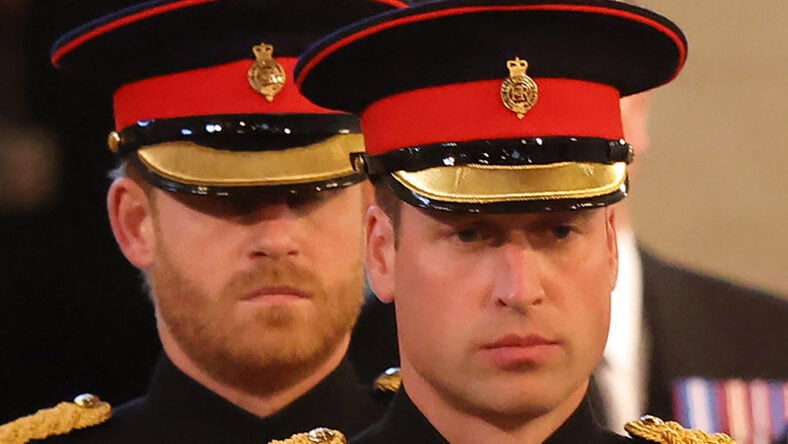 Prince Harry’s Desperate Public Bid To Win Back Prince William May Be Making It ‘Hard To Forgive’