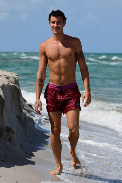 Shawn Mendes seems happy and healthy as he hits the beach with friends in Miami