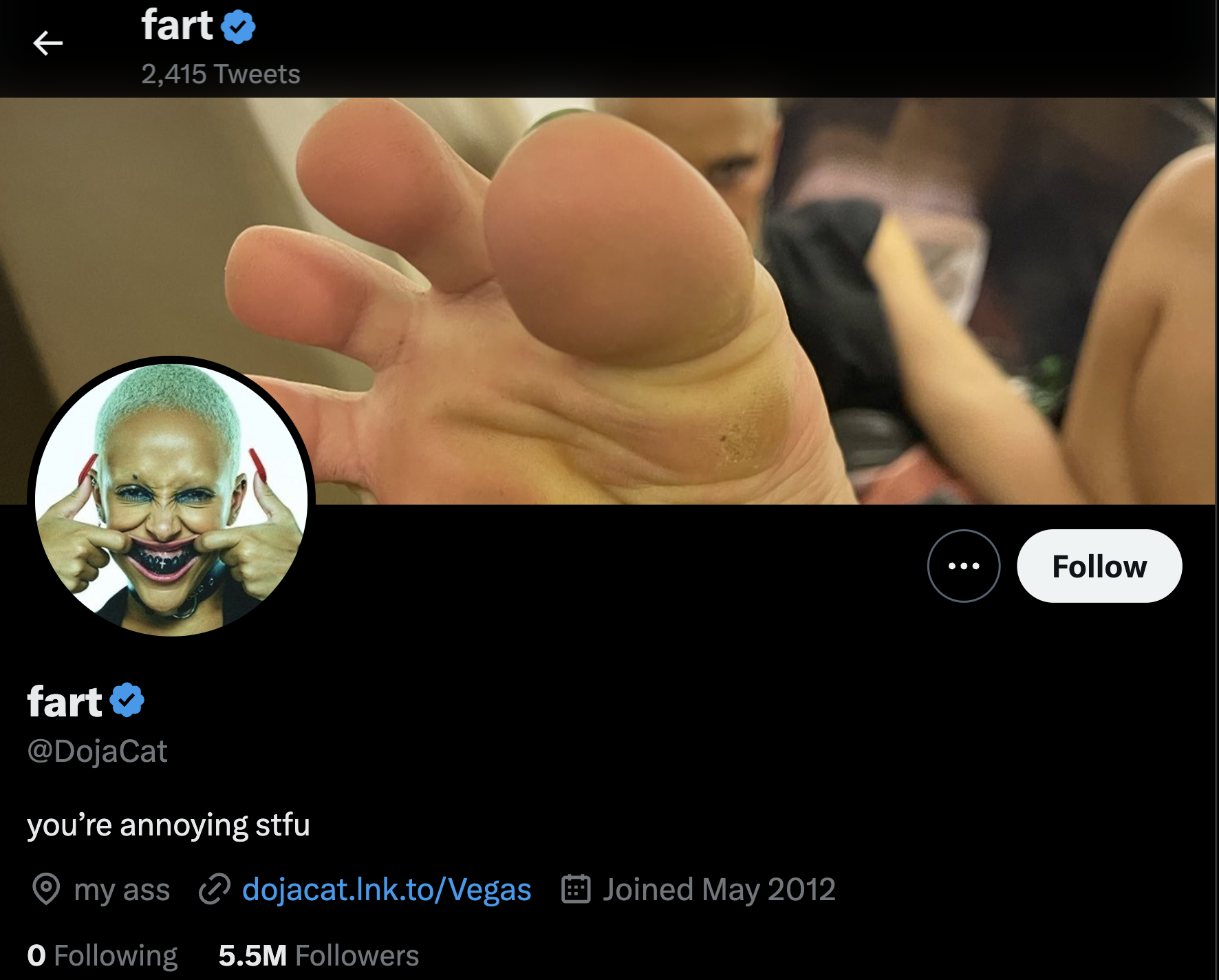 Doja Cat hints at foot fetish desires