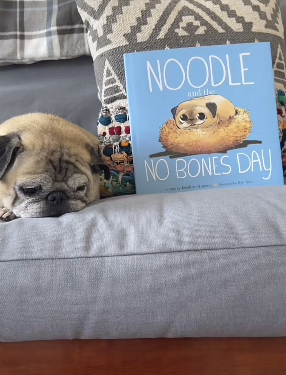Noodle the Pug on TikTok