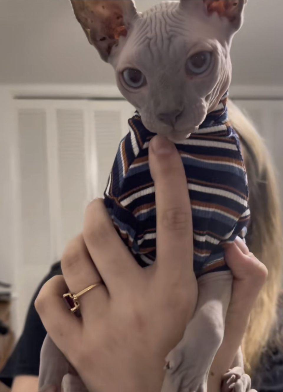 Mr. Nimbus