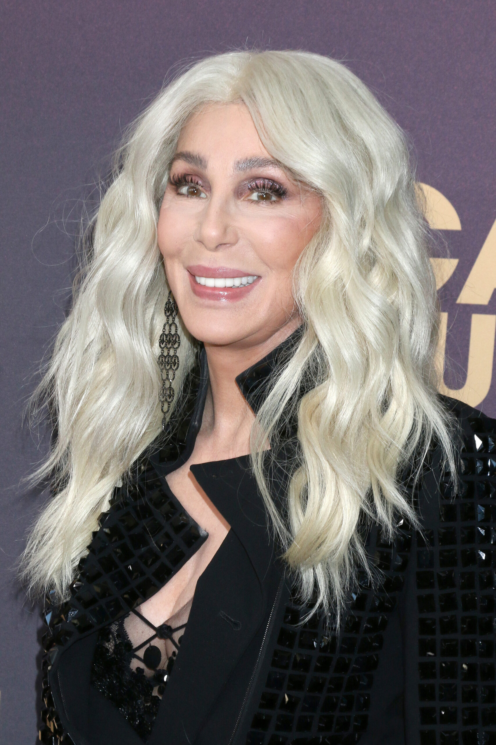 Cher at the Los Angeles Premiere Of Focus Features' 'The Bikeriders'