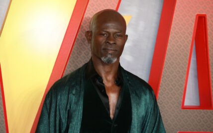 Djimon Hounsou Says He Has Never Been Paid Well Enough For Any Film, Feels 'Tremendously Cheated' By Hollywood