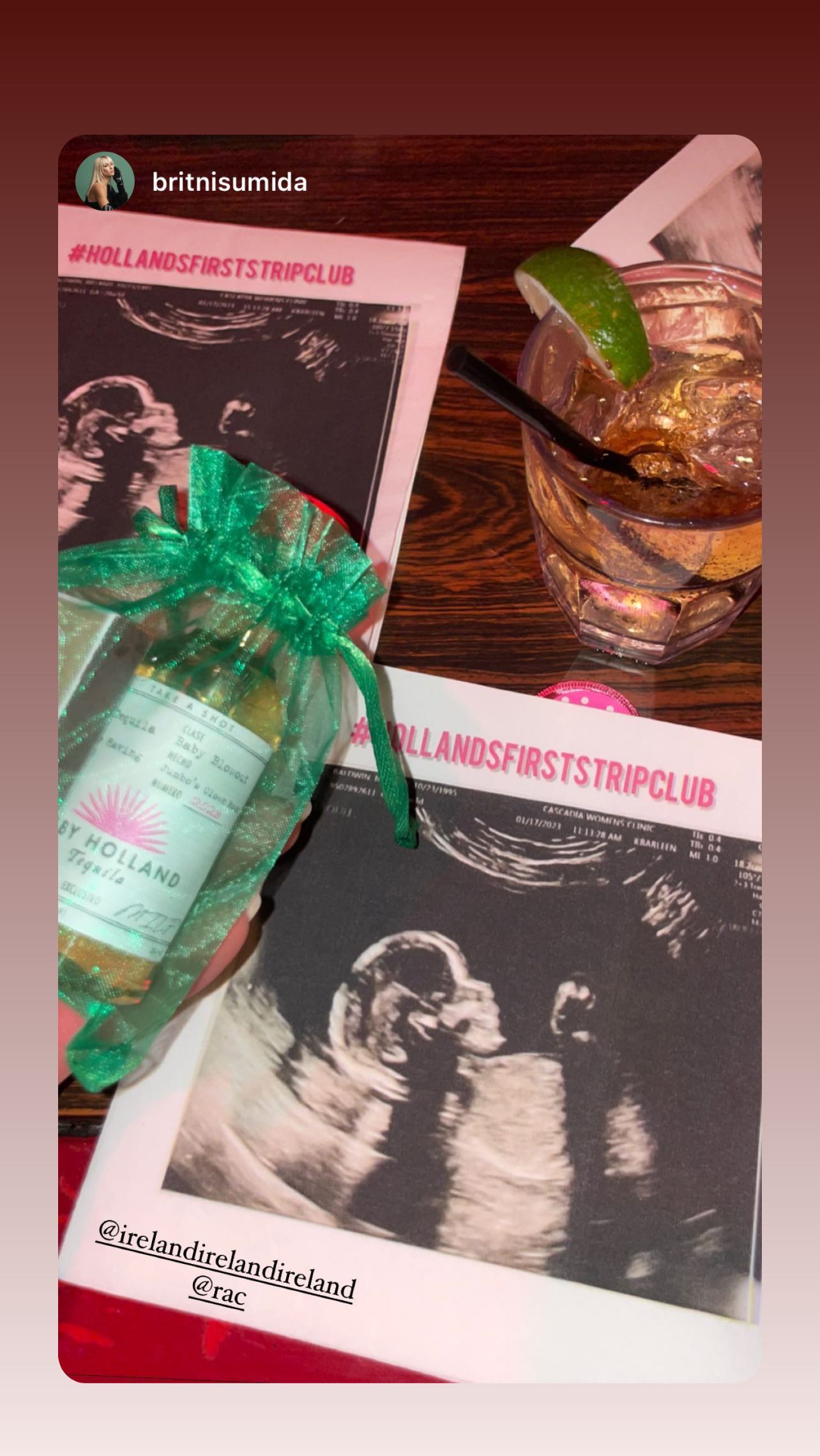 Ireland Baldwin Hosts Stripper Themed Baby Shower