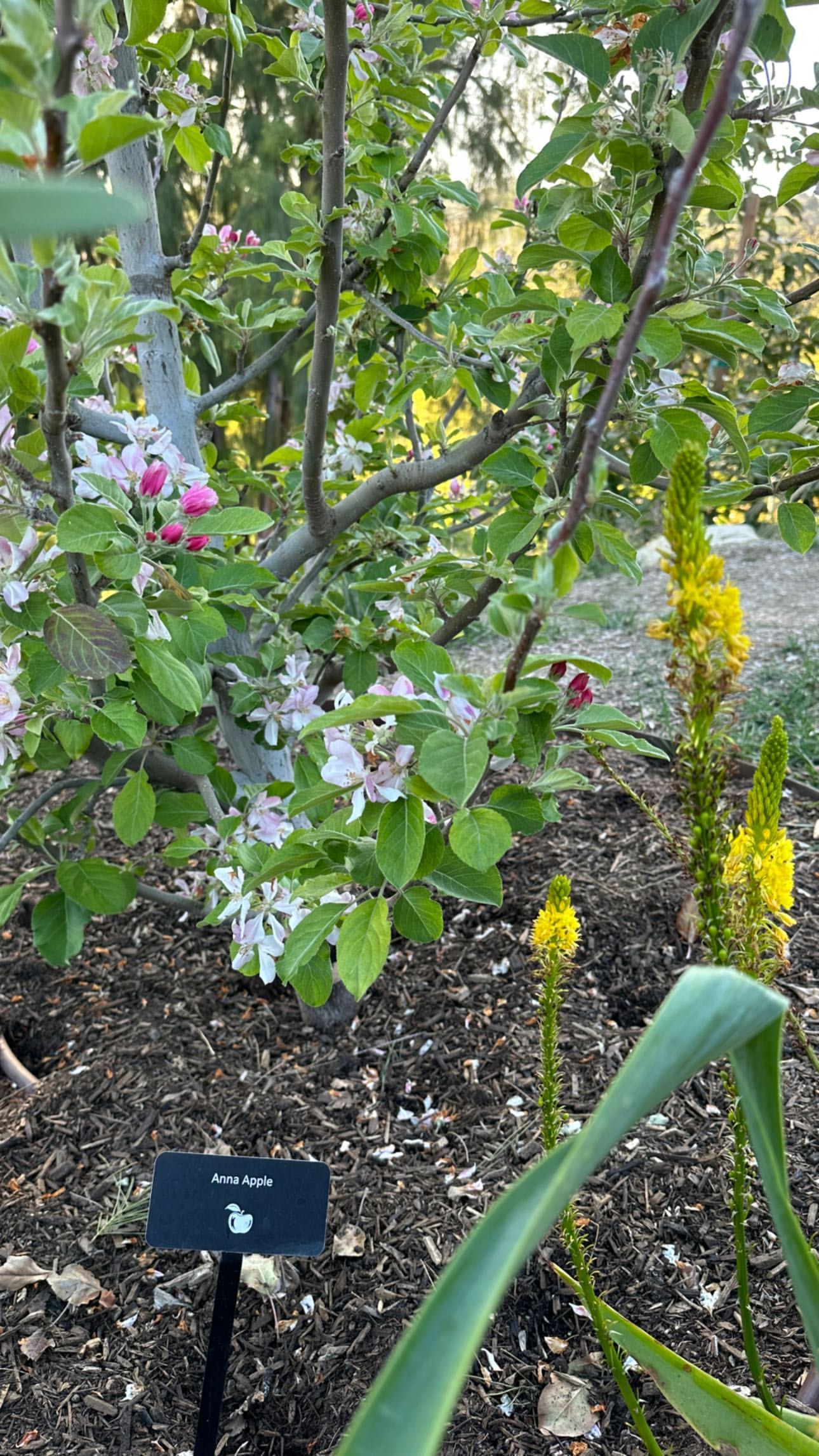 Kim Kardashian Flexes Her Green Thumb In Envious Fairytale Garden Tour