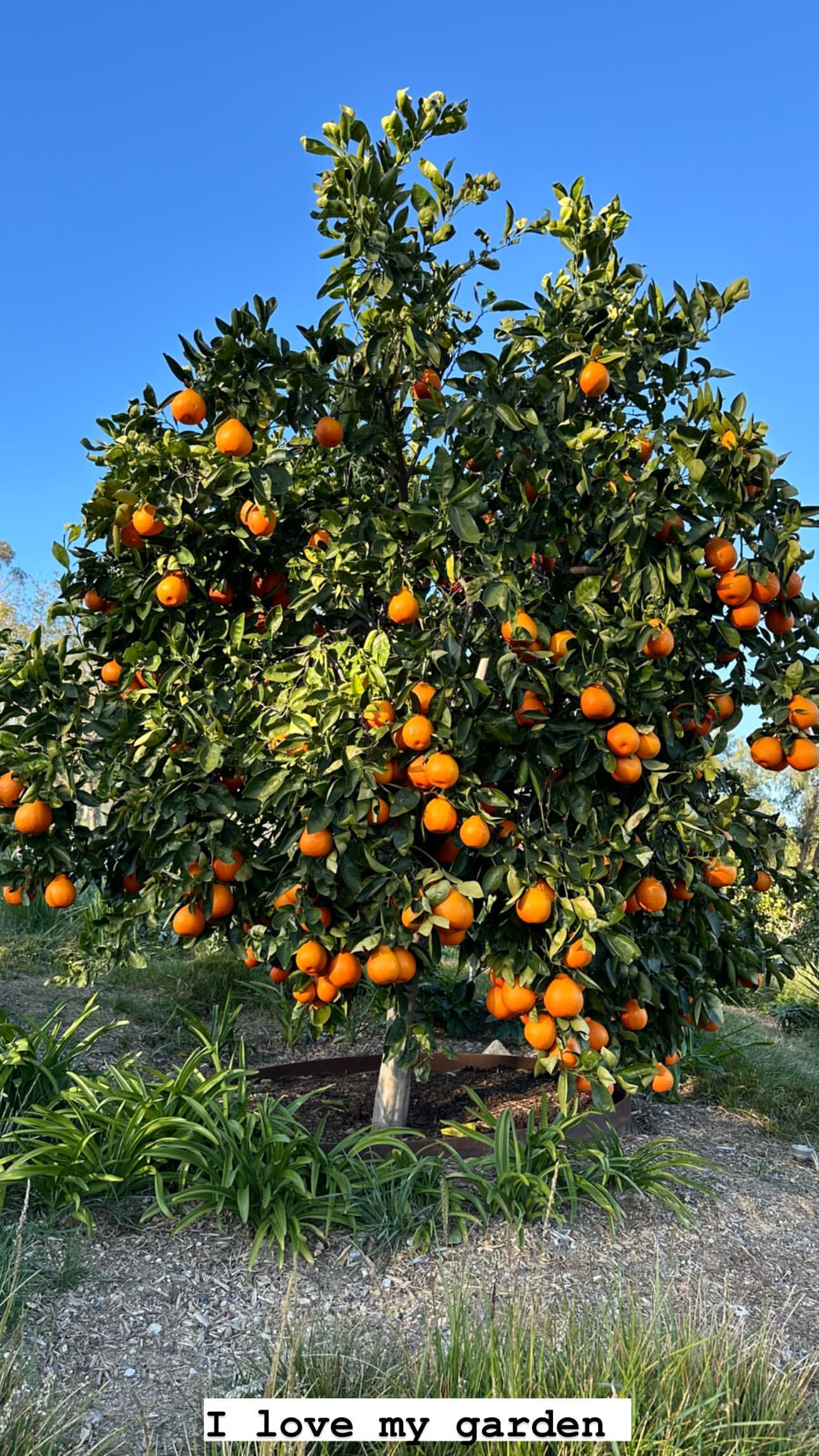 Kim Kardashian Flexes Her Green Thumb In Envious Fairytale Garden Tour