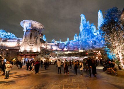 Parent Whips Child With Dog Leash At Disney World Per Incident Report