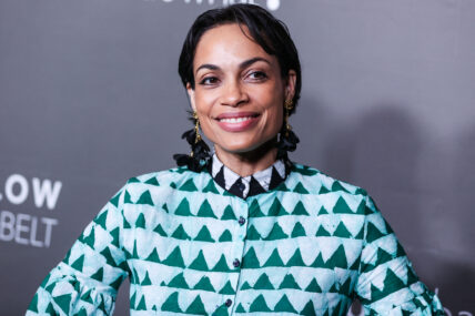 Rosario Dawson at the Los Angeles Premiere Screening Of 'Below The Belt'