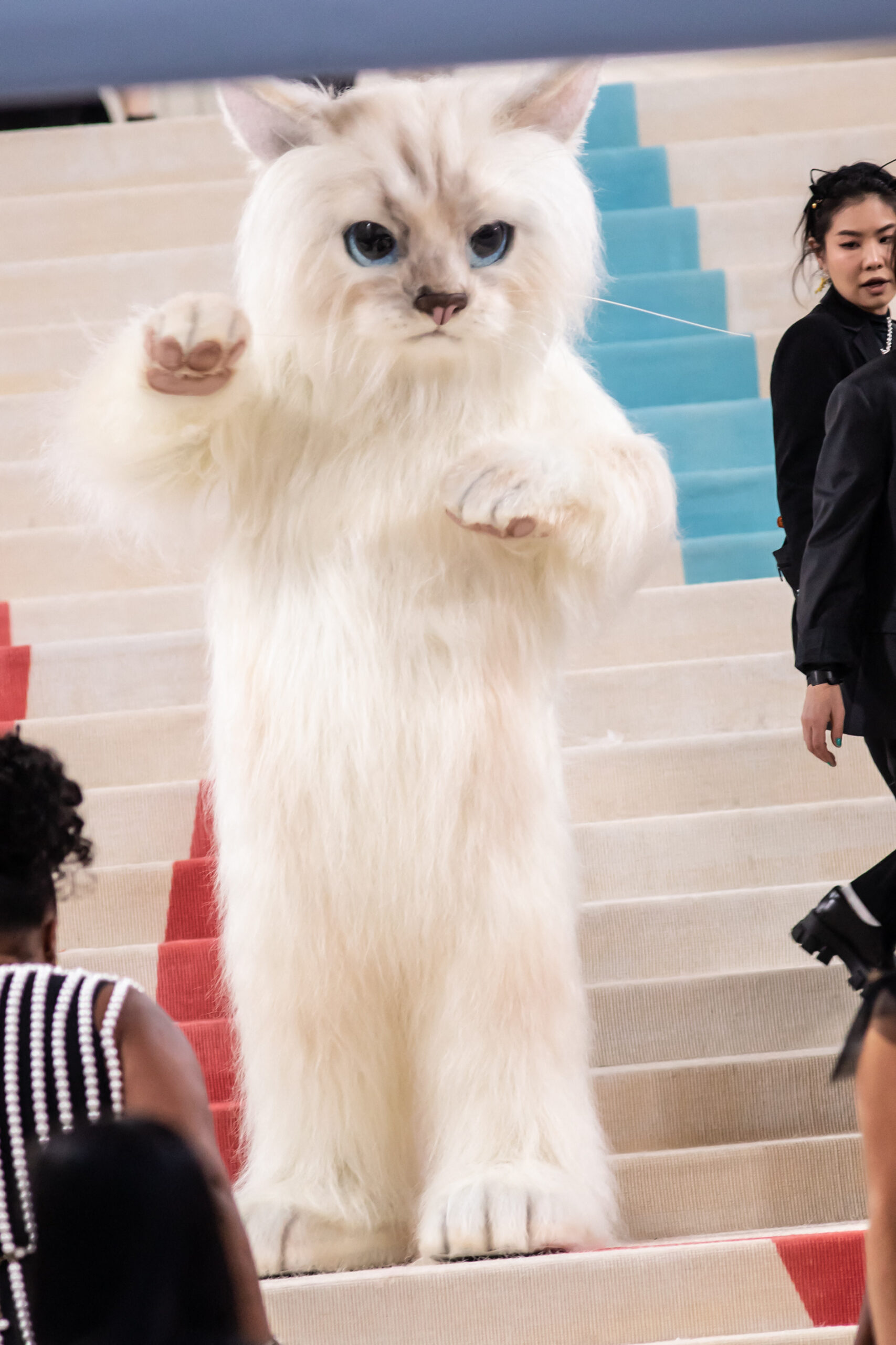 Jared Leto in a cat costume at the 2023 Met Gala