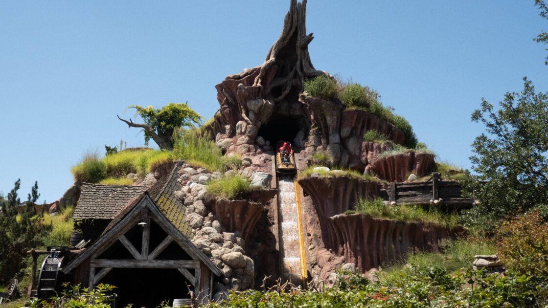 Splash Mountain Fiasco: Guest Jumps Out Of Moving Ride Vehicle