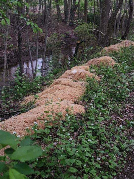 Mountains of cooked pasta mysteriously dumped in US town