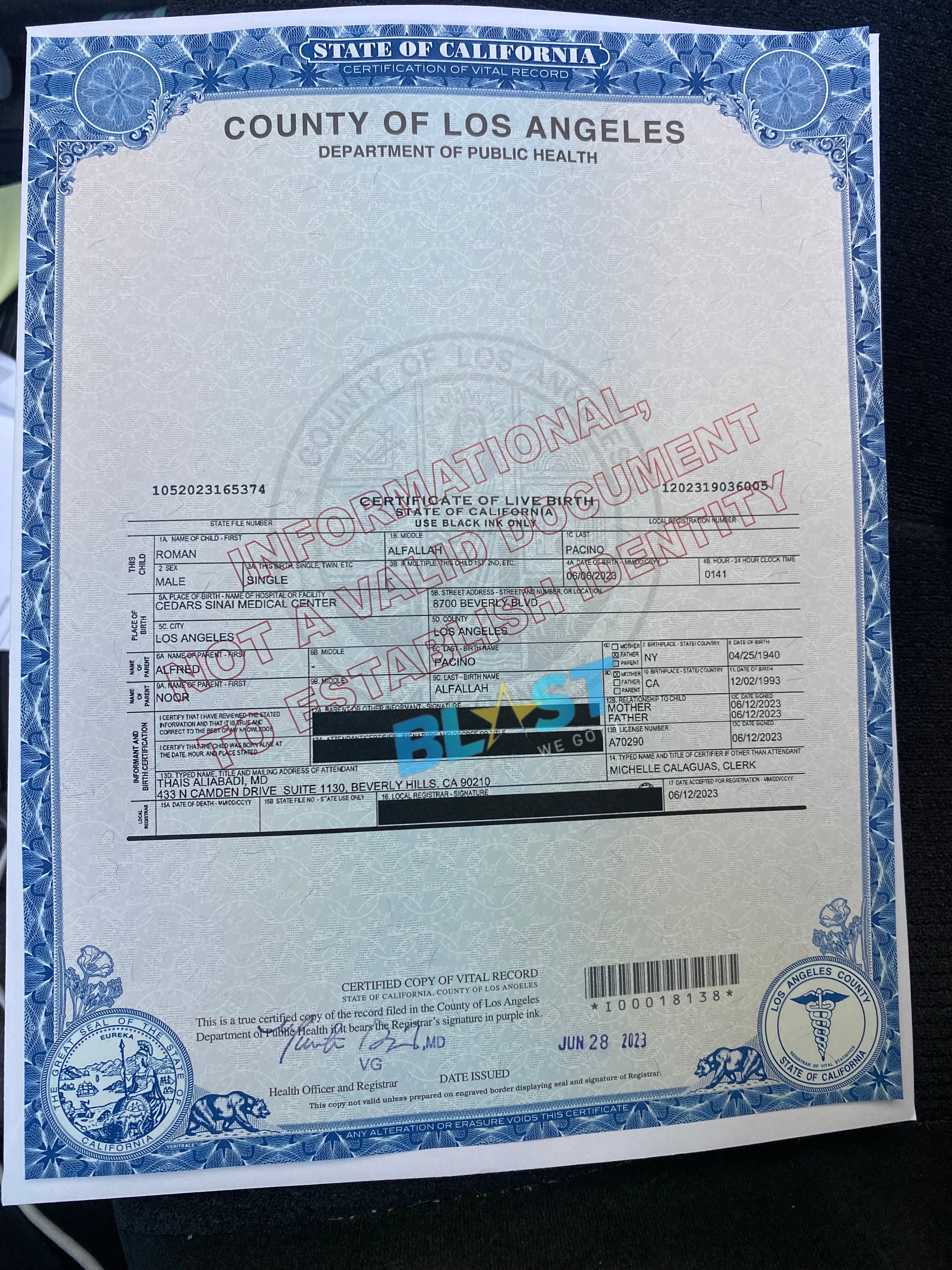 Al Pacino's Baby Son's Birth Certificate Reveals New Details!