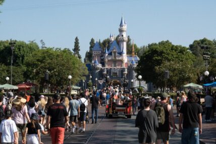 Guest Arrested At Big Thunder Mountain In Disneyland