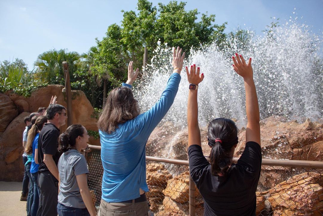 Disney World Begins Testing Features At New 'Moana' Ride