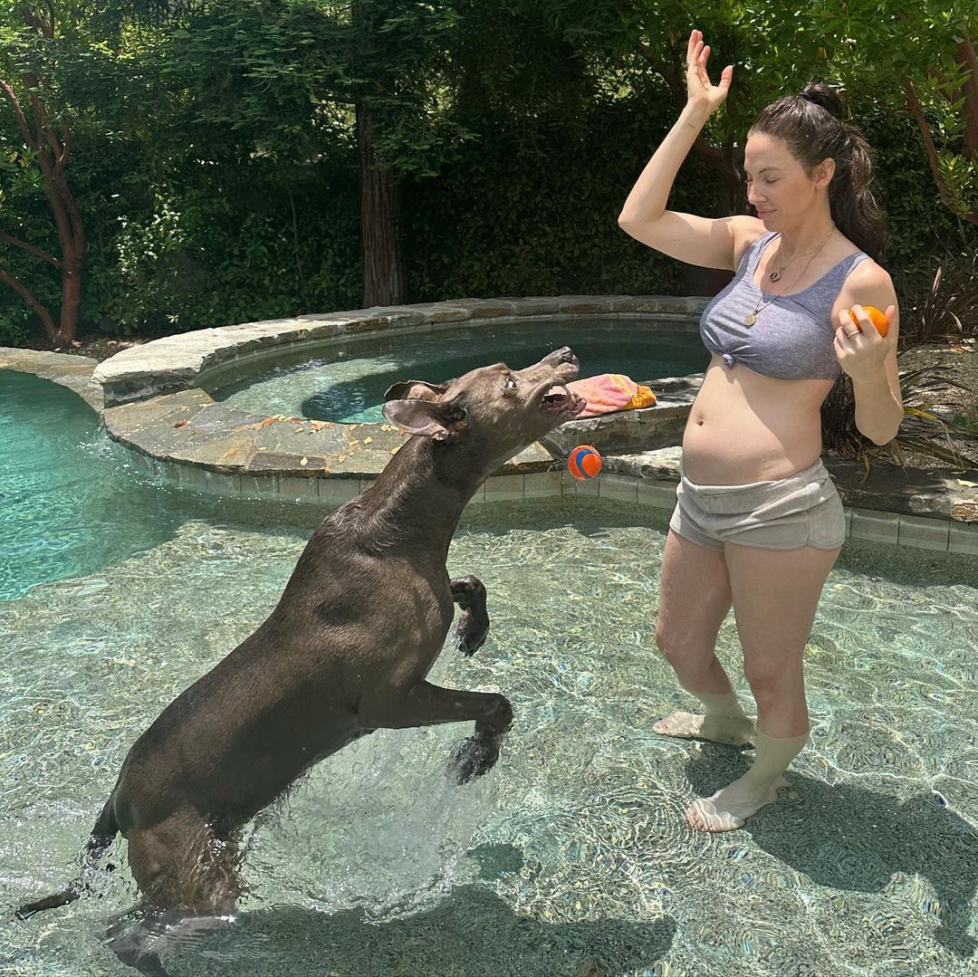 Whitney Cummings shares pregnancy news