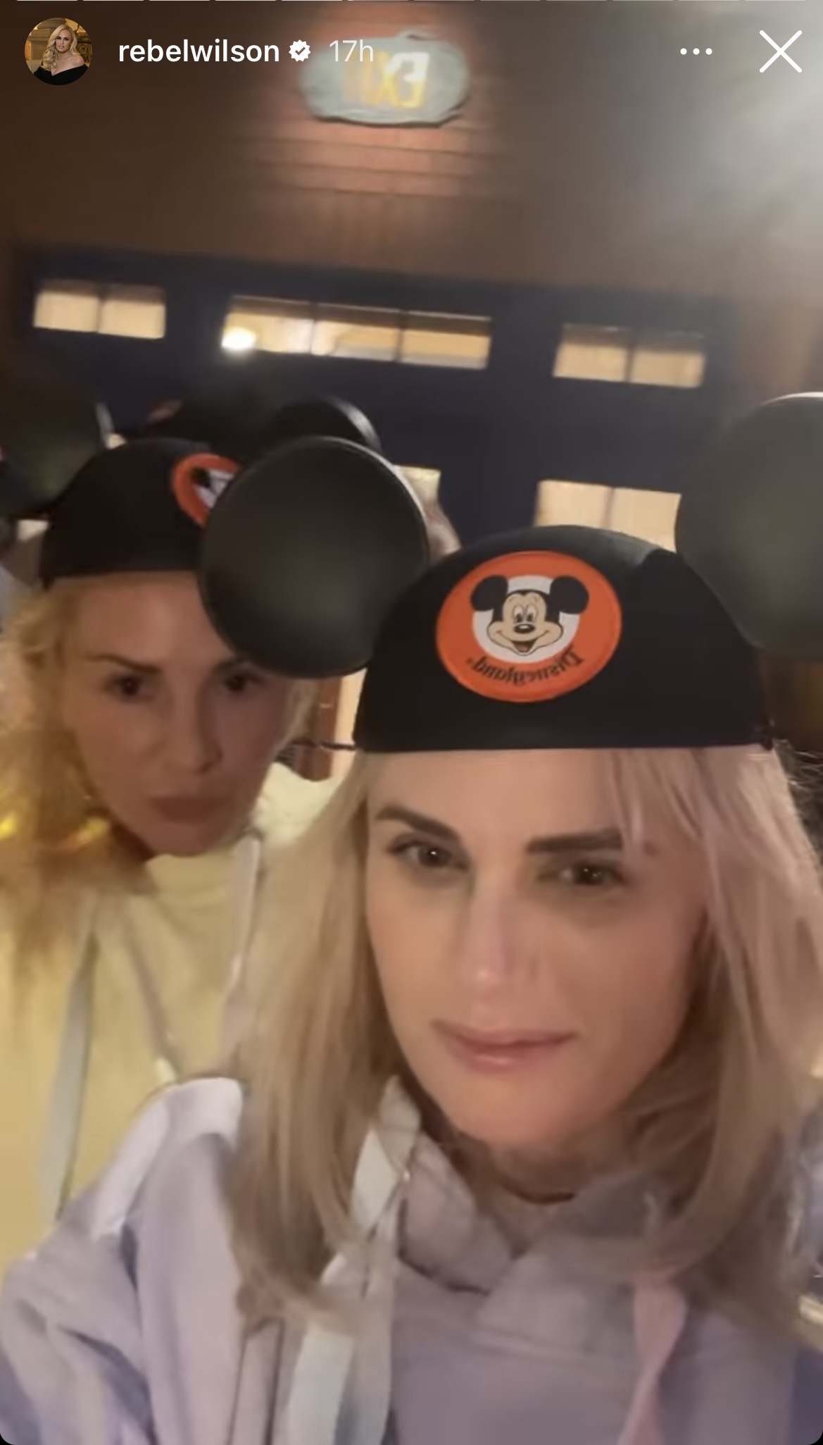 Rebel Wilson and fiancee Ramona Agruma celebrate 4th of July at Disneyland