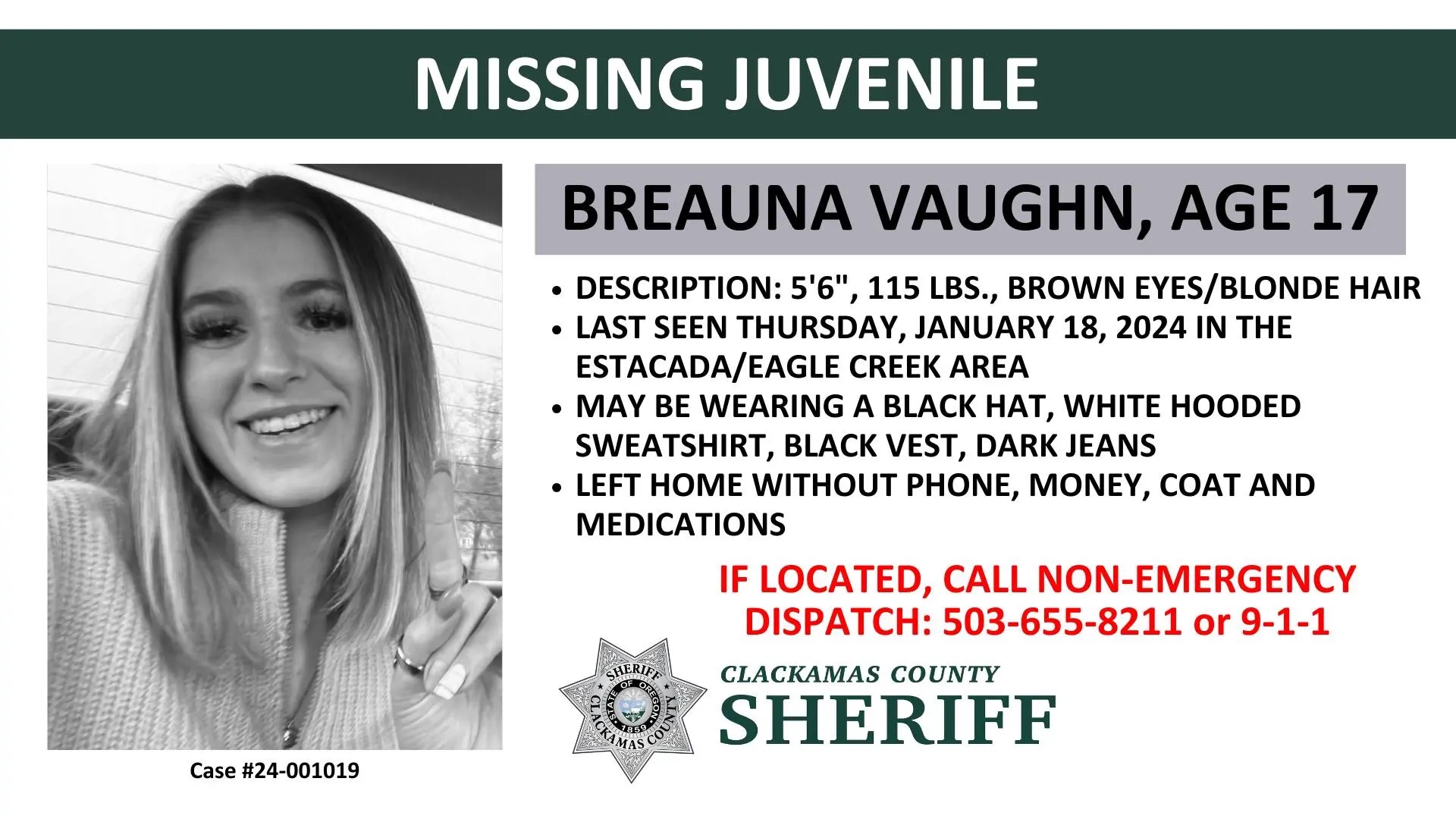 17-Year-Old Girl Missing, Last Spotted Getting Into Unknown Vehicle