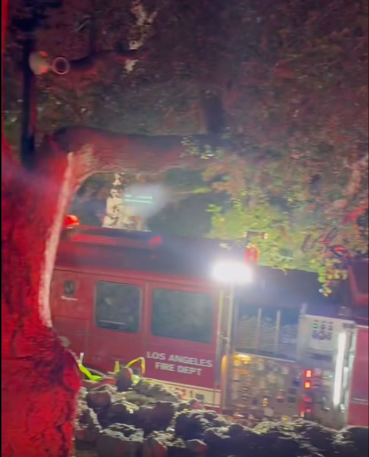 Cara Delevingne Addresses Los Angeles Home Fire