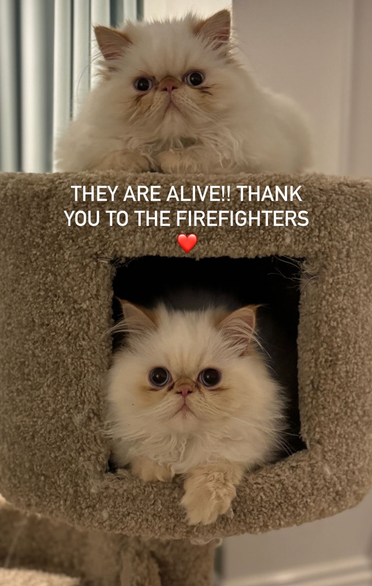 Cara Delevingne Addresses Los Angeles Home Fire