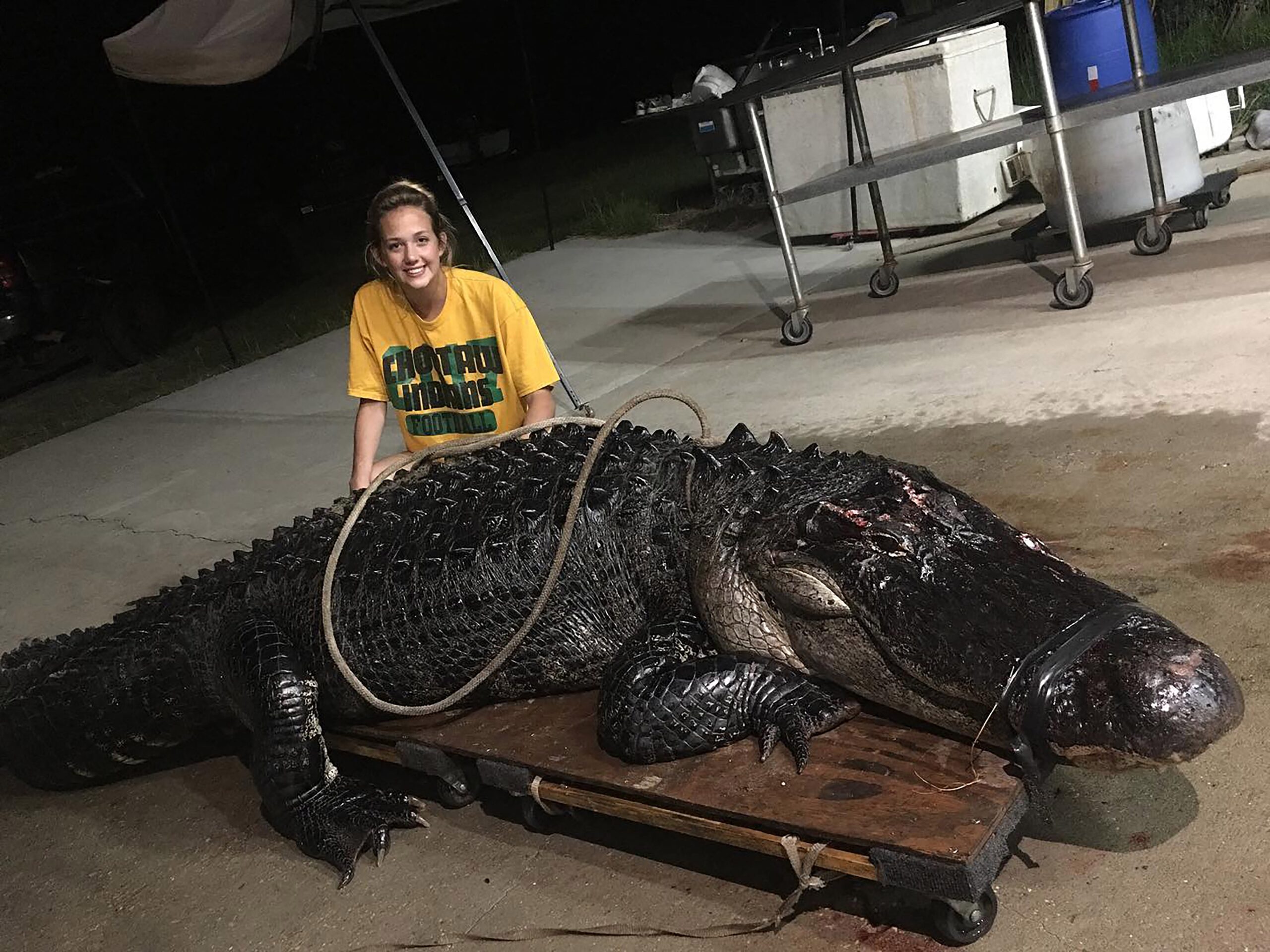 'Only In Florida': 8-Foot Gator Results In 9-1-1 Call