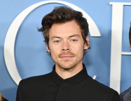 Harry Styles' Stalker Arrested After Expressing ‘Sexual Urges’ & 'Hand-Delivering Letters'