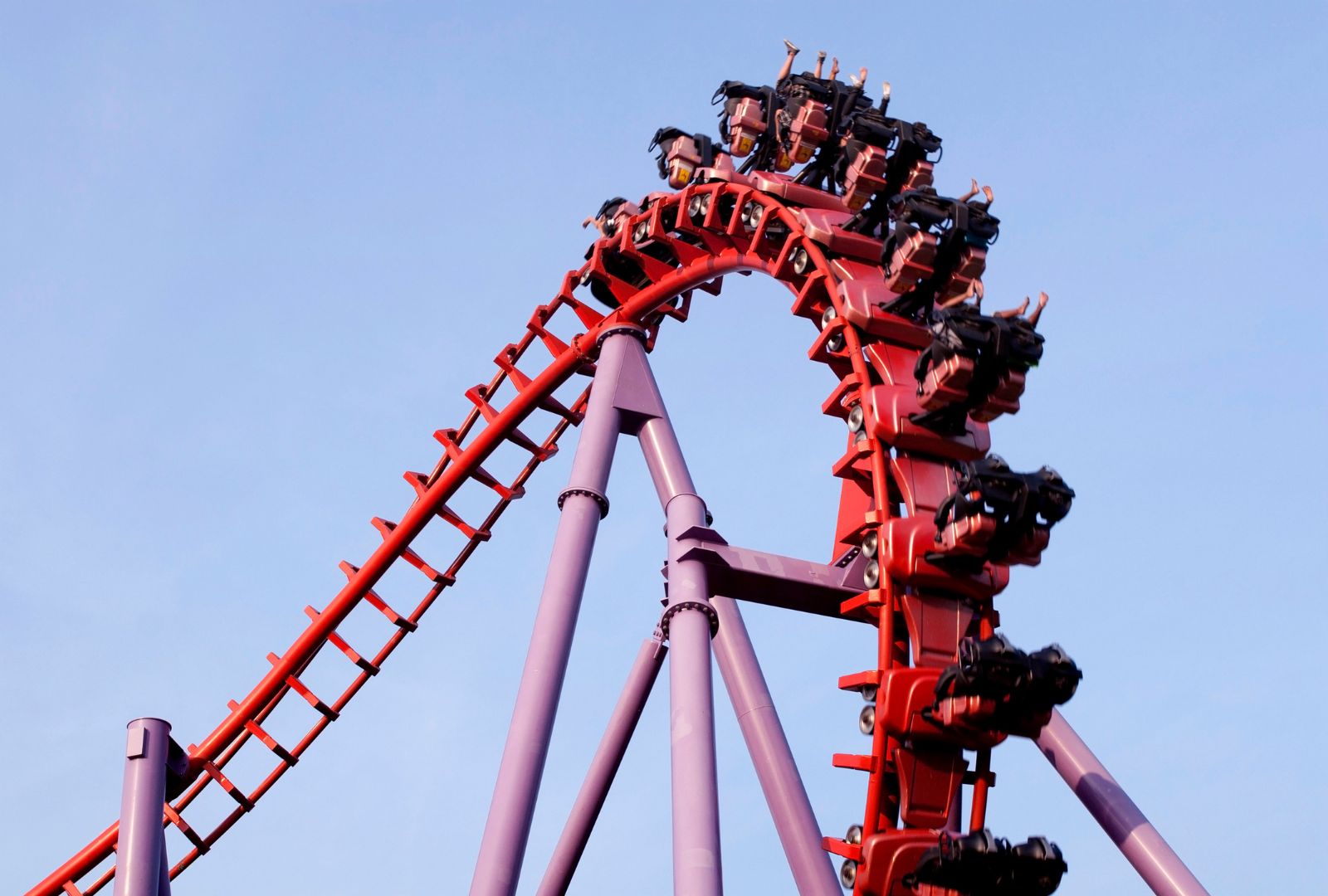 September 11 Fight Breaks Out At Busch Gardens