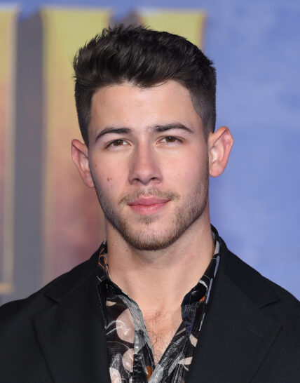 Nick Jonas at World premiere of "Jumanji: The Next Level'"