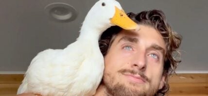 TooTurntTony and his duck