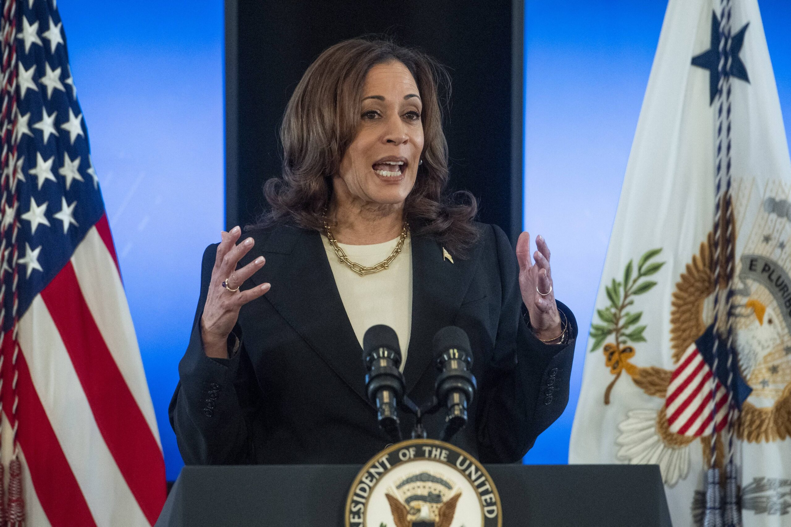 United States Vice President Kamala Harris delivers remarks on conflict-related sexual violence at the White House.