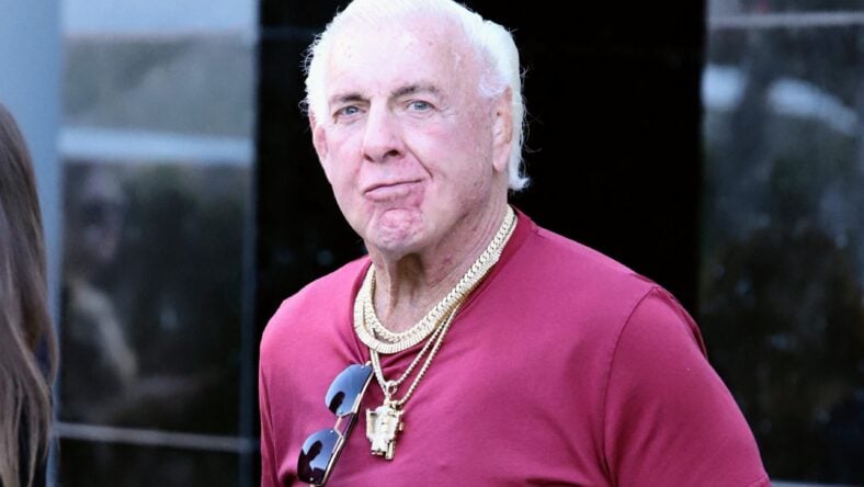 WWE Legend Ric Flair Posted About Blood Clots, But Another Reason Landed Him In The Hospital