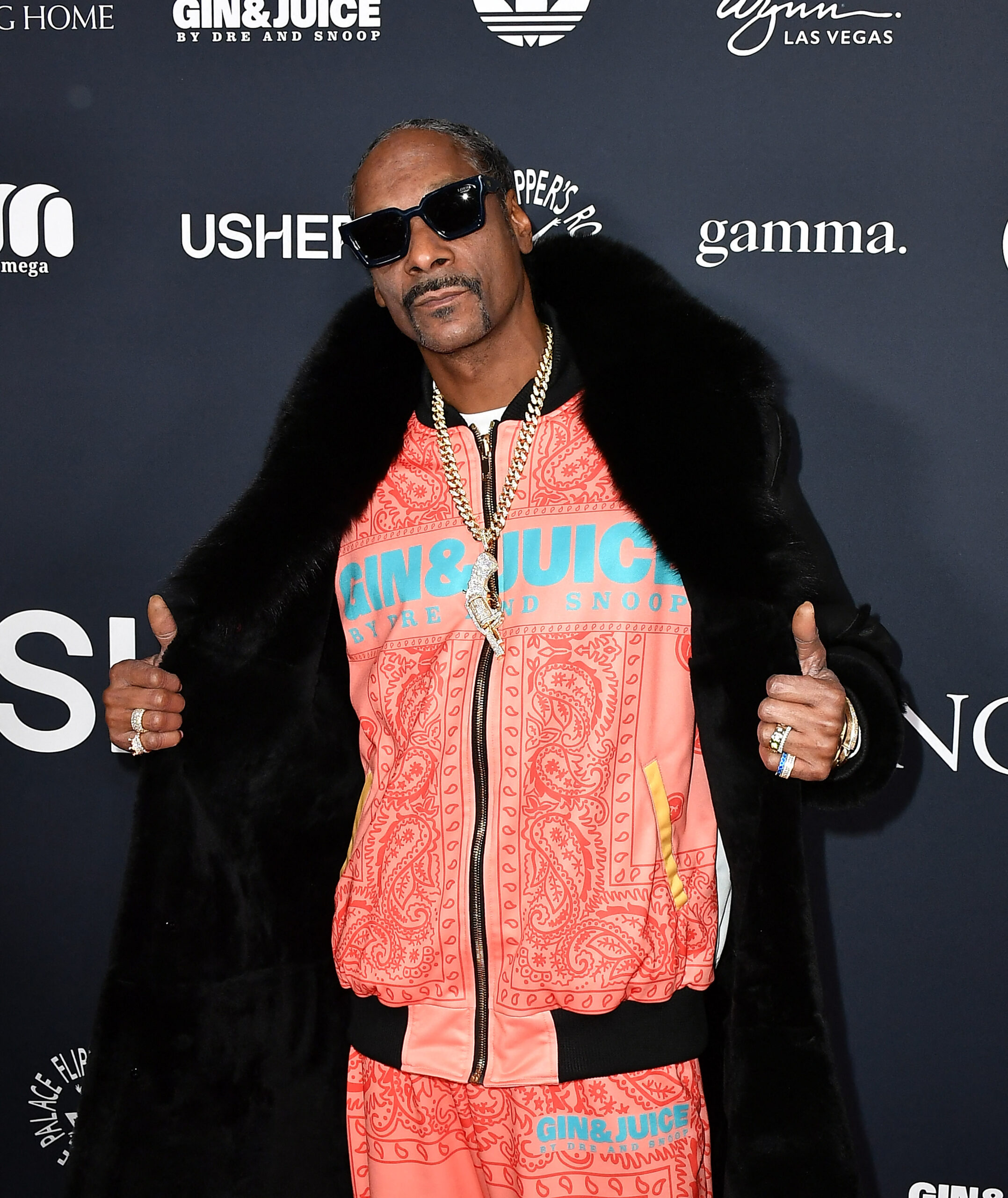 Snoop Dogg on the red carpet