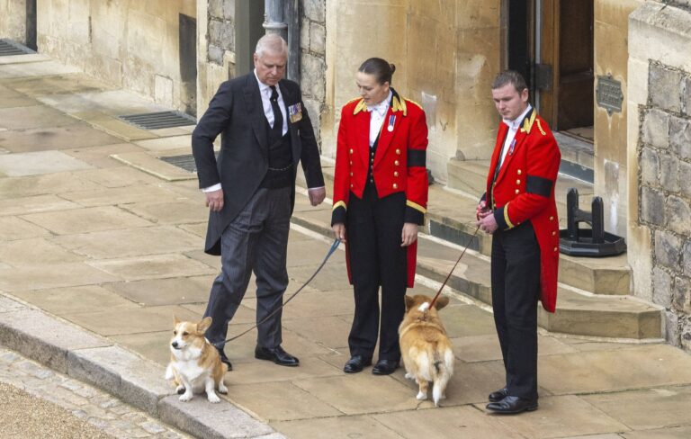 Prince Andrew and the late queen's Corgis.