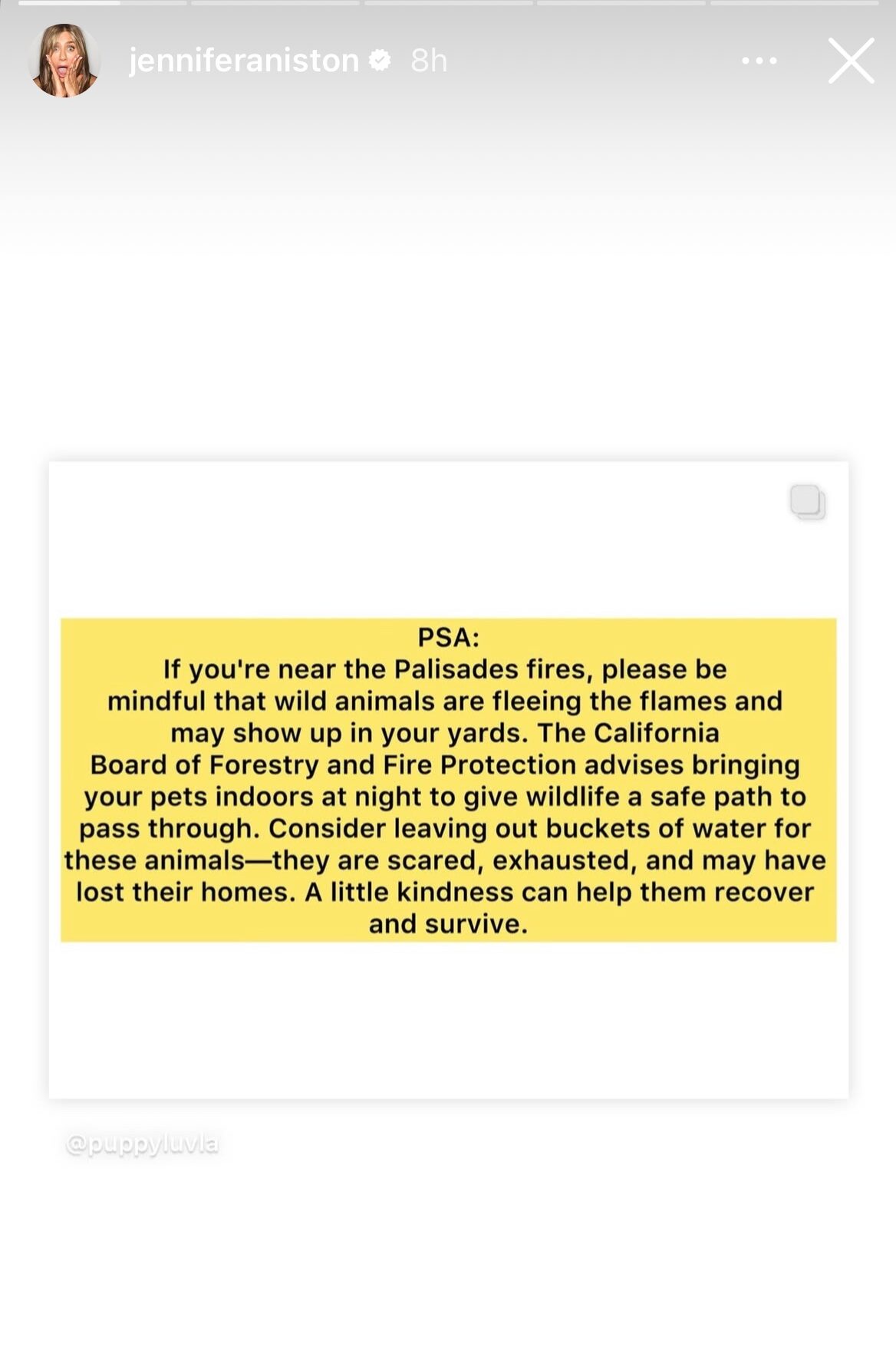 Jennifer Aniston's Instagram Stories about wildlife during California wildfires