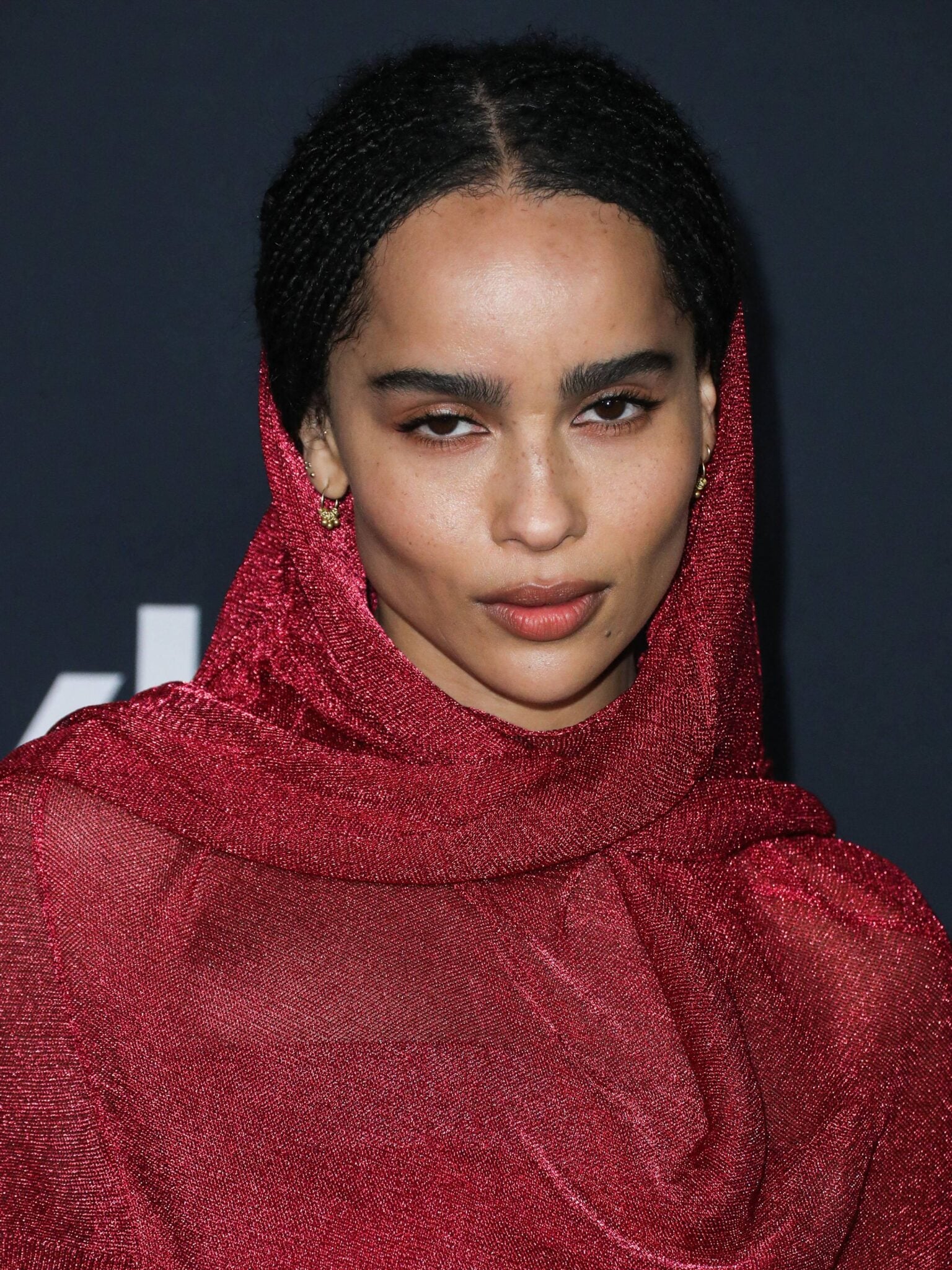Zoe Kravitz Engagement Talk Grows After NYC Sighting