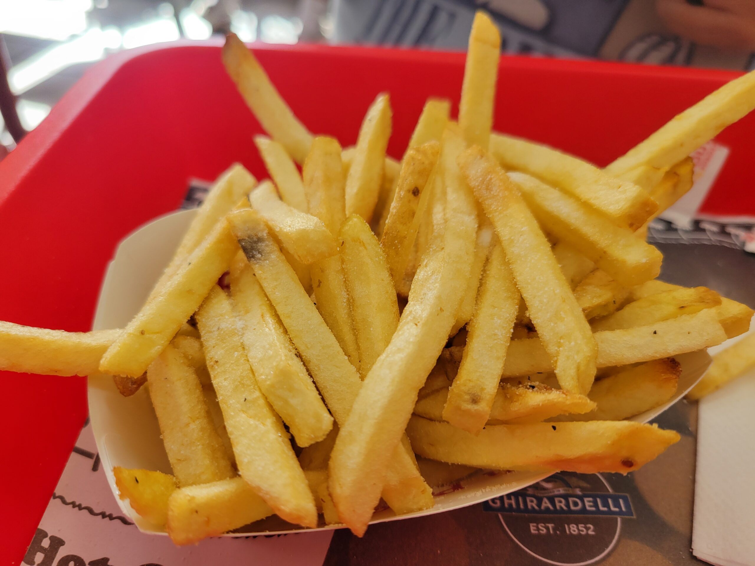 In-N-Out French Fries