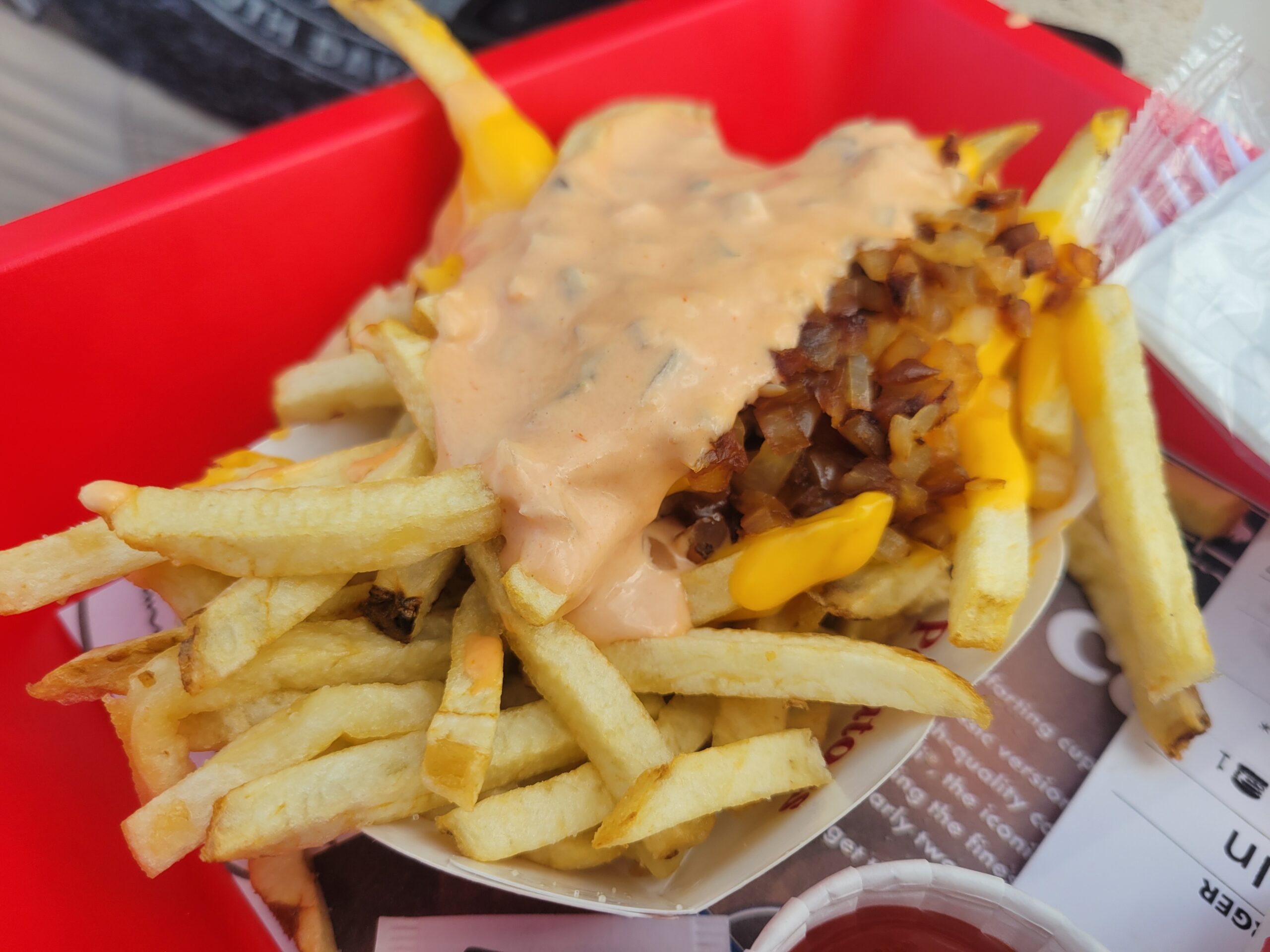 In-N-Out French Fries Animal-style