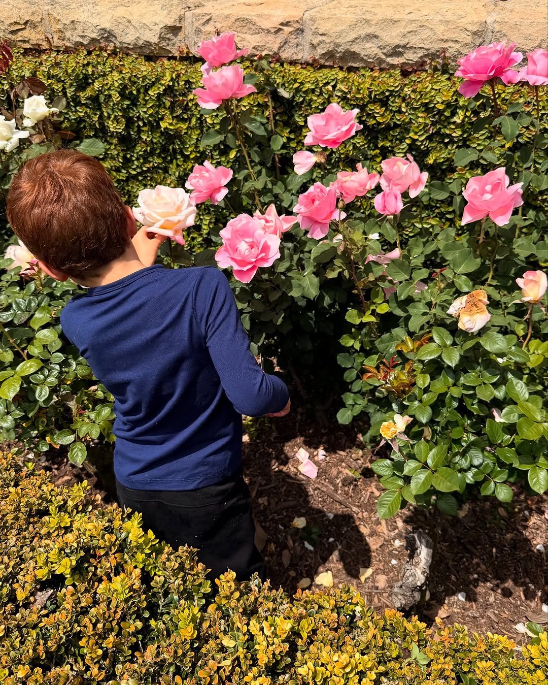 Prince Archie helps his mom tend to the garden