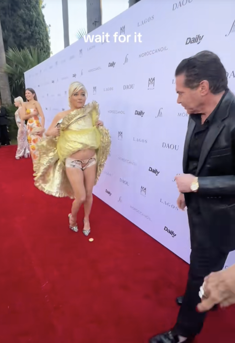 Selma Blair flashes underwear on red carpet