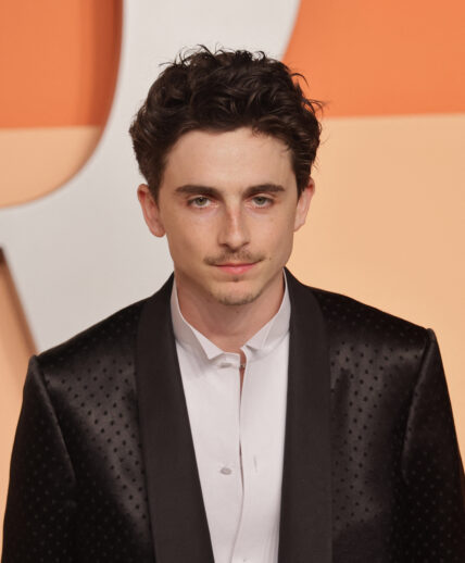 Timothee Chalamet at 2025 Vanity Fair Oscar Party
