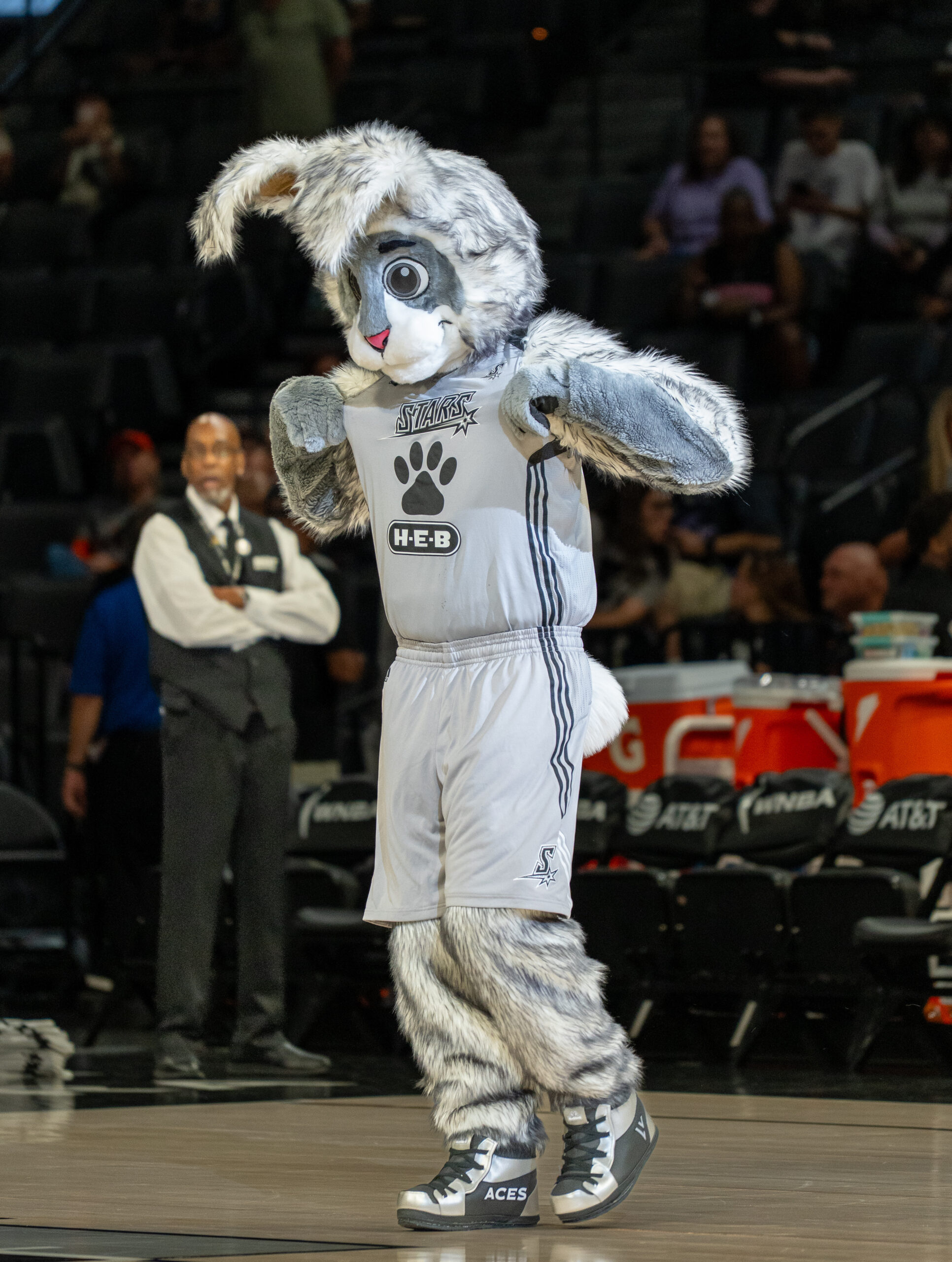 Las Vegas Aces mascot BUCKET$