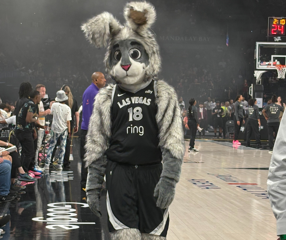 Las Vegas Aces mascot BUCKET$